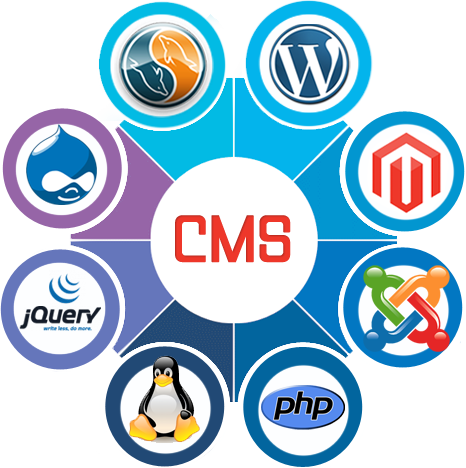 Content Management System